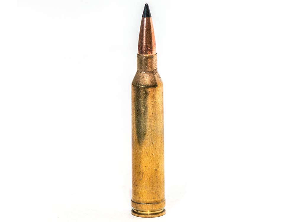 7mm remington magnum ammo cartridge