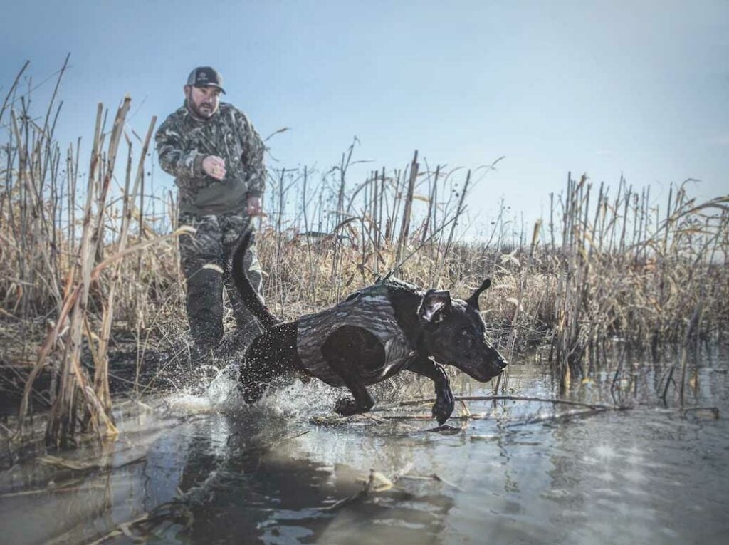 a hunter and their waterfowl hunting dog.