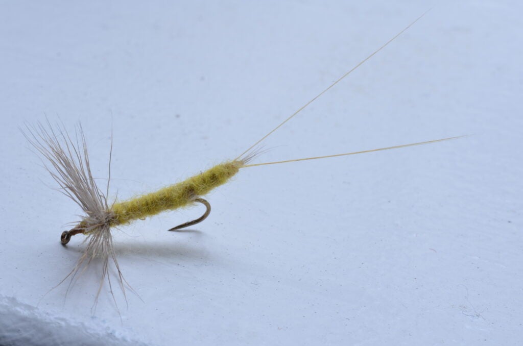 hexagenia fly fishing pattern for trout