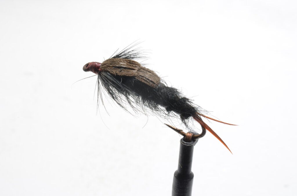 Salmon fly pattern for trout fishing.