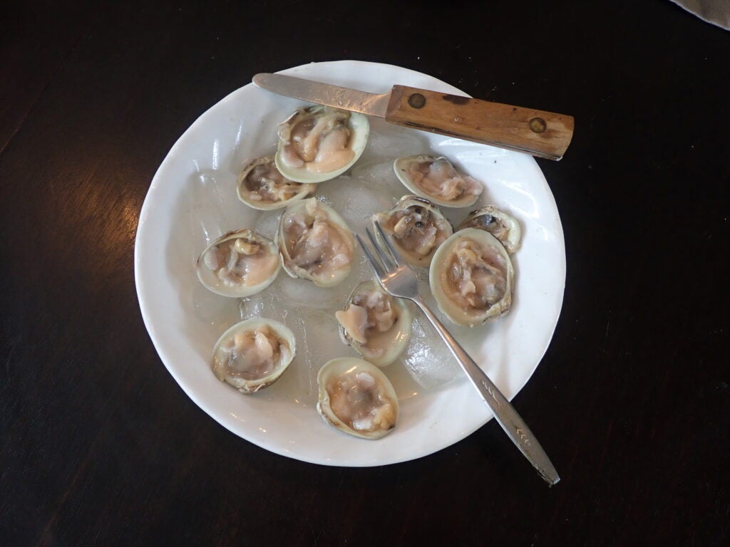 Raw clams on the half shell.