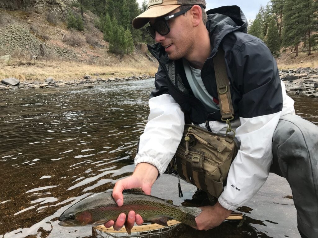 angler releasing trout.