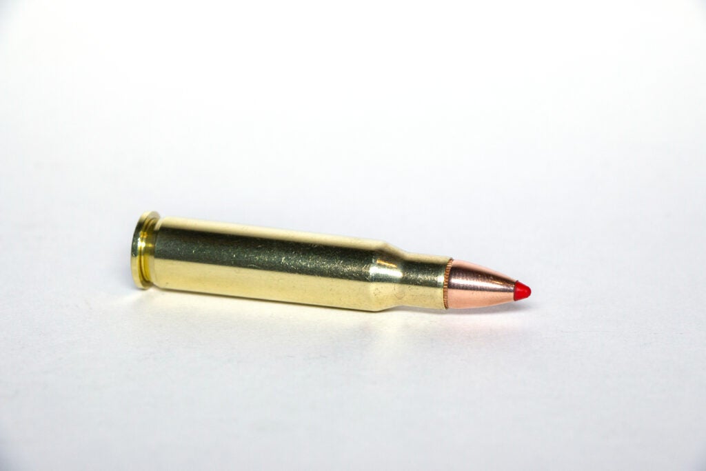 The 307 Winchester