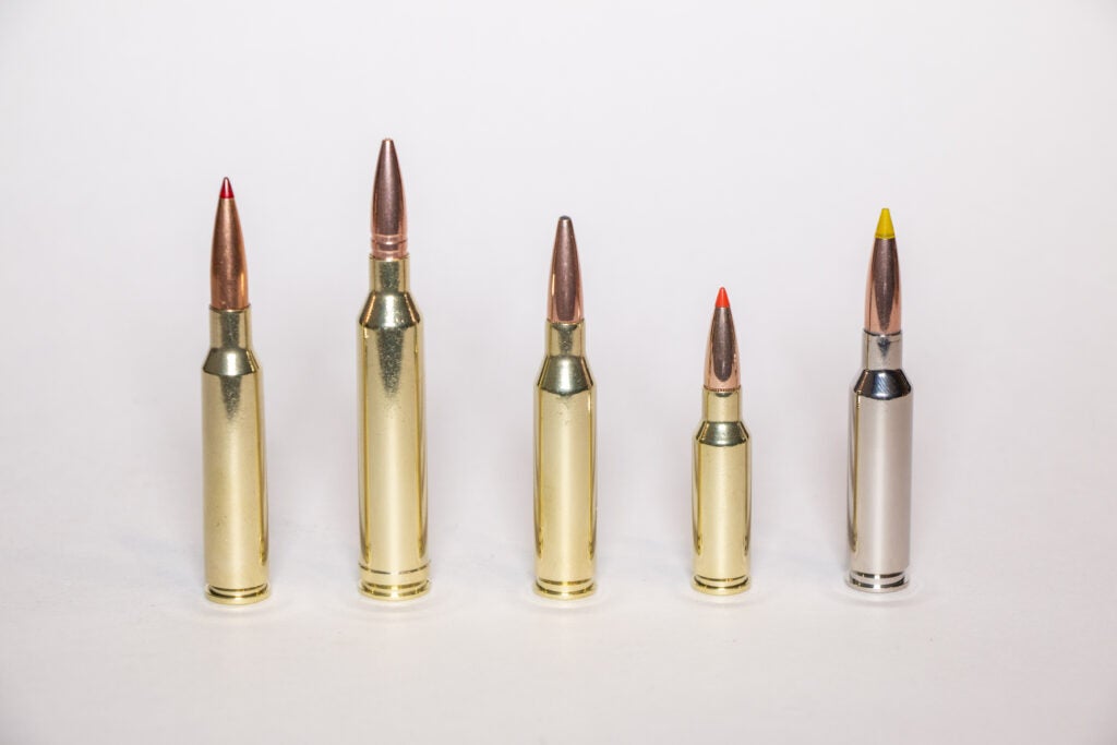 A variety of 6.5mm ammo