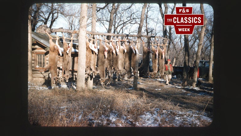 vintage photo of deer hunting camp