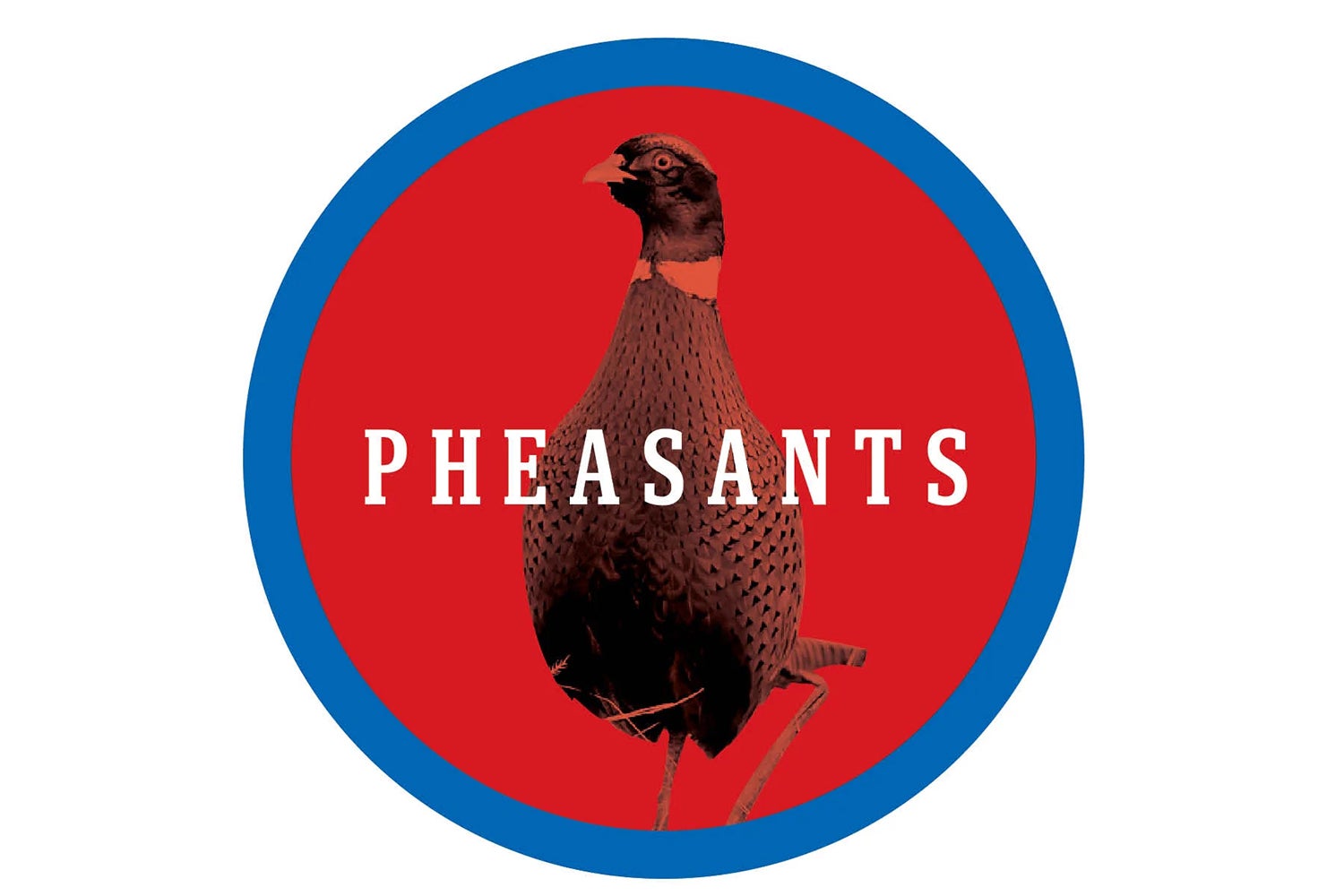 Illustration of a pheasant