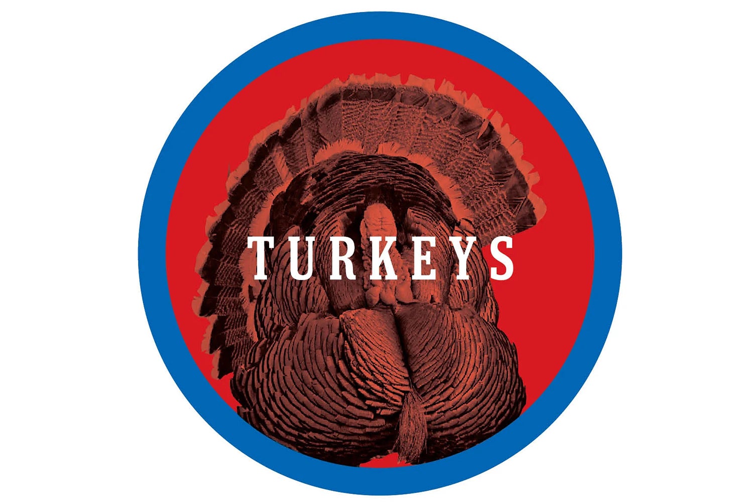Illustration of a turkey.