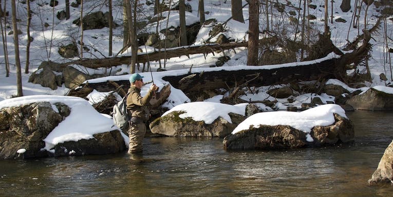 Winter Trout Fishing: Tips, Tactics, and Techniques to Land More Fish