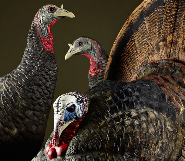 photo of turkey decoys