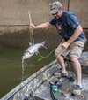 bowfisherman sticks a carp