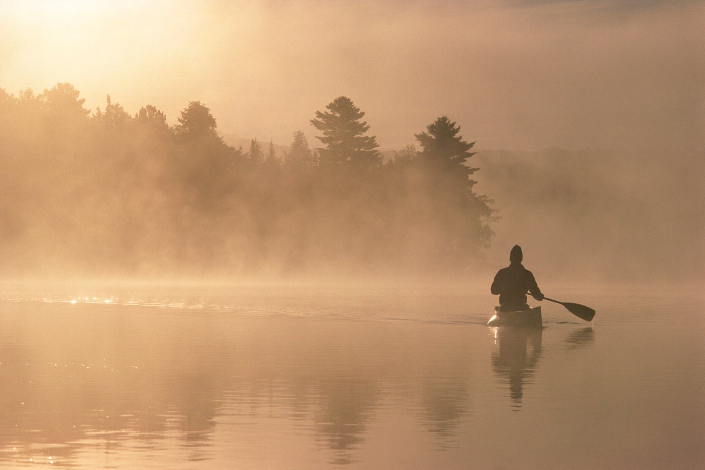 photo of paddling a canoe