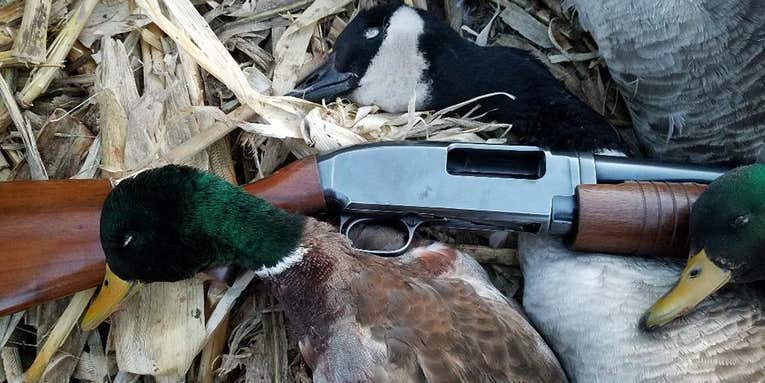Blast From the Past: Winchester Model 12 Heavy Duck