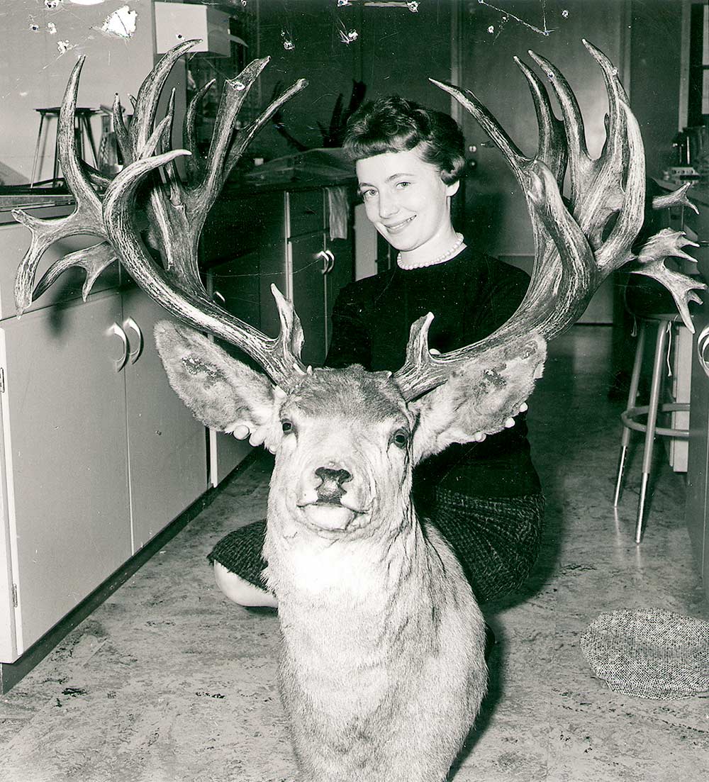 world record nontypical mule deer