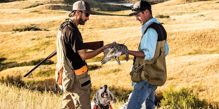 The Native Bird: Chasing Sharptails on BLM Land in Montana