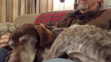 phil bourjaily with a hunting dog in his lap