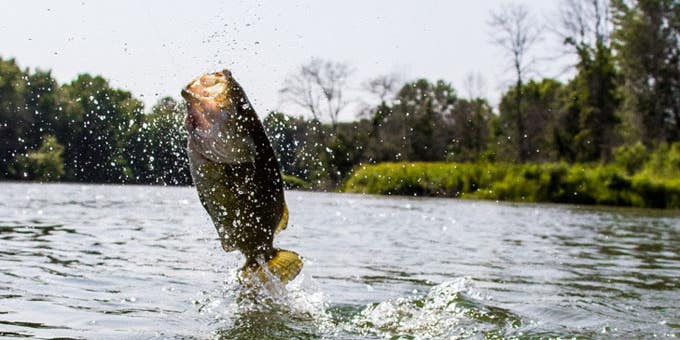 Why Michigan is the Best Fly-Fishing State in America