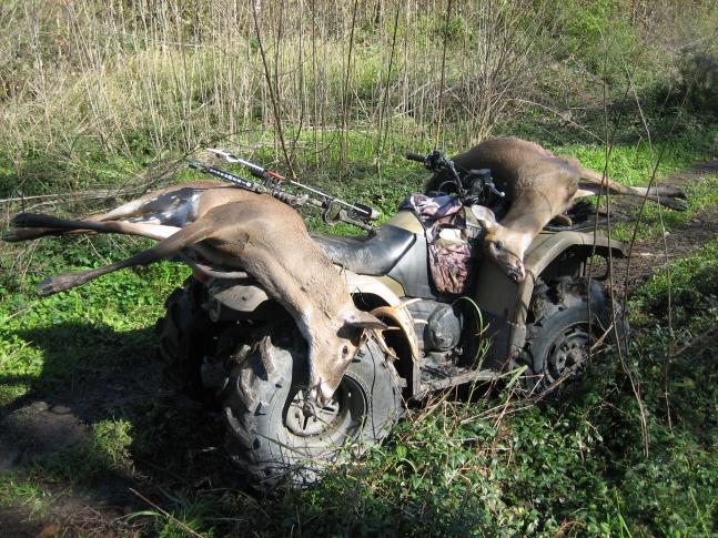 I was on a late season Bowhunt in 2009 and was lucky enough to get a double Bowkill early one morning.Good thing i had my trusty Yammaha kodiak 400 to haul the load out for me.