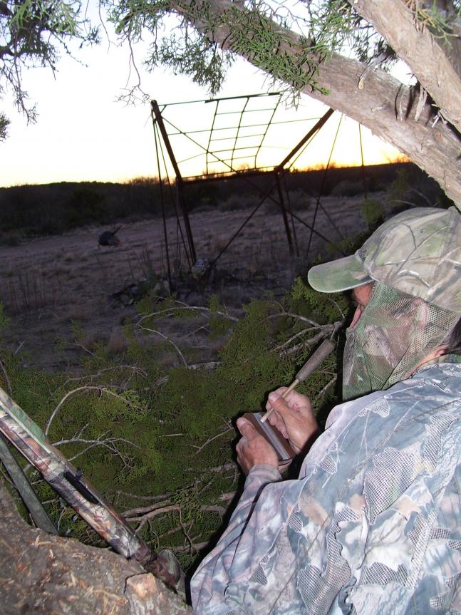 As my dad and I sit in the homeade turkey blind, I can't help but to capture the moment of my dad using his pot and stick call, to hopefully lure in one the Rio Grande Turkeys Texas has to offer. Luck was on our side that day! :)