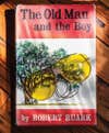 book cover of old man and the boy by robert ruark
