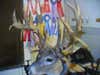 this buck was shot 45 min from where i live and my taxadermist did the mounts! awesome deer!