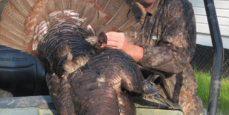 Nate Garrett: This Is Why You Scout for Turkeys