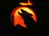 Wolves have been in the news quite a bit in the past year. I contemplated participating in the wolf hunt this year but ended up deciding that it would take time that I didn't have. I carved this howling wolf in my pumpkin this year so that everyone that saw it would think of wolves and how special they are.