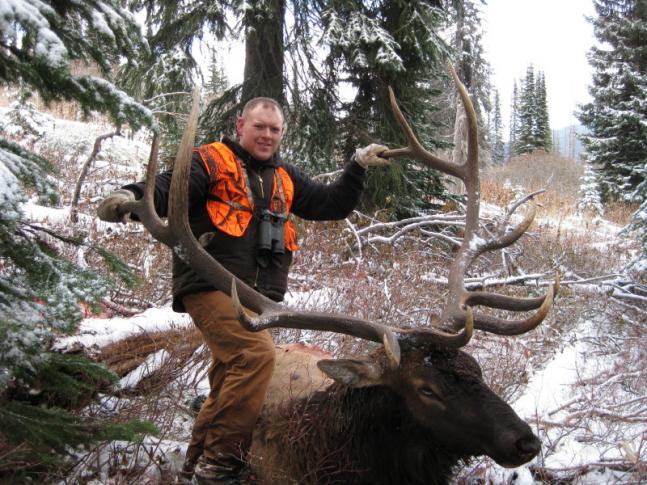 I (Danny Blowers) harvasted this bull opening day of hunting season 2009. Its a 6X6 that scored 356 and by the way its a public land hunt.
