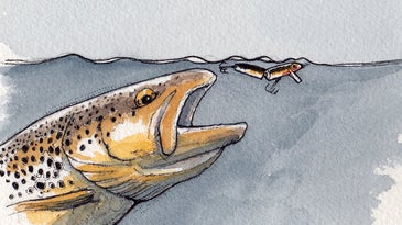 Six Tips for Catching Big Trout at Night