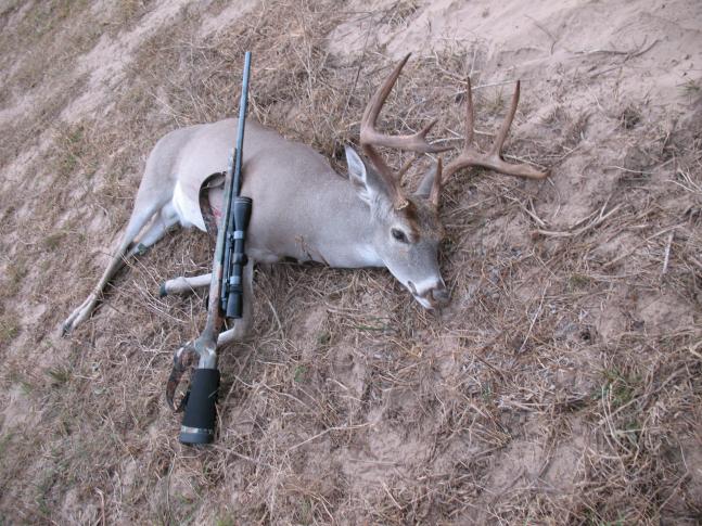 Texas hunt, management buck