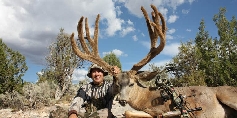 Giant Mule Deer Buck Tagged in Arizona is Pending Typical World Record