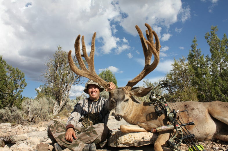 This 240-inch Arizona buck taken by Matt Liljenquist in August is being hailed as Safari Club International's pending world record for a typical mule deer, and it has a good shot at eclipsing the Pope & Young world record, too.