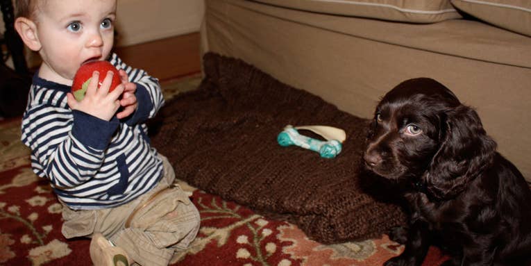 Pups vs. Toddlers: A Training Stalemate