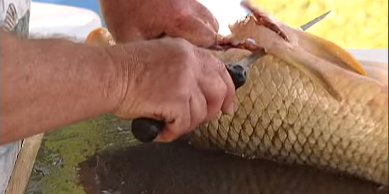 Video: How To Clean Carp