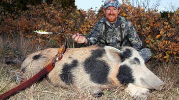 A Hunter and His Custom Recurve Bow Turn Two Texas Pests Into a “Full Circle” Hog Hunt