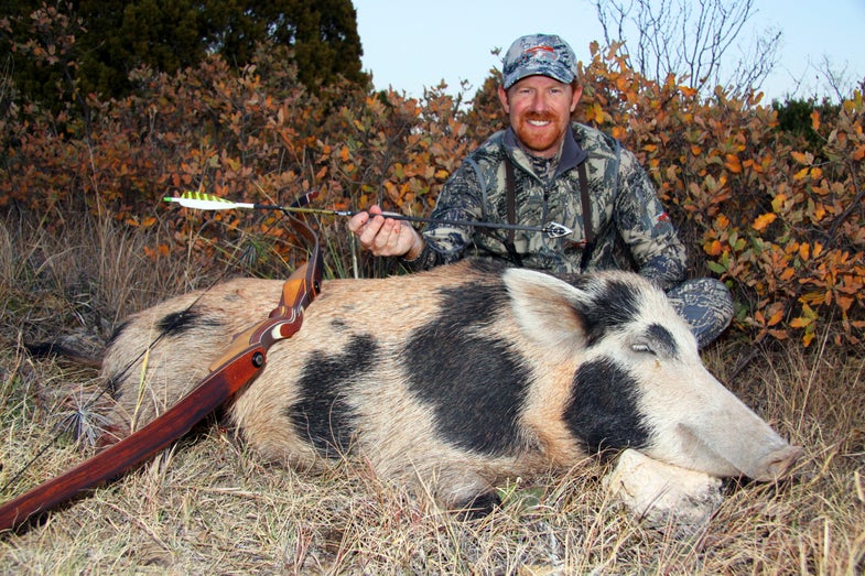 My 475-grain Gold Tip carbon arrow fired from my 50-pound Stalker Recurve hit this pig in the crease behind the left shoulder, shredding both lungs. The big pig made it about 75 yards before the razor sharp 2-bladed German Kinetics broadhead did its deadly work.