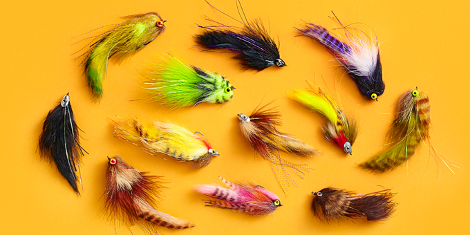 Fishing Streamers for Trophy Trout