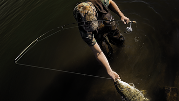 How to Catch Monster Smallmouth Bass