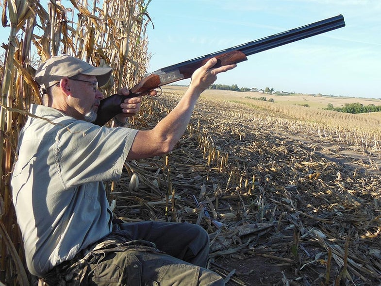 dove hunting with browning shotgun