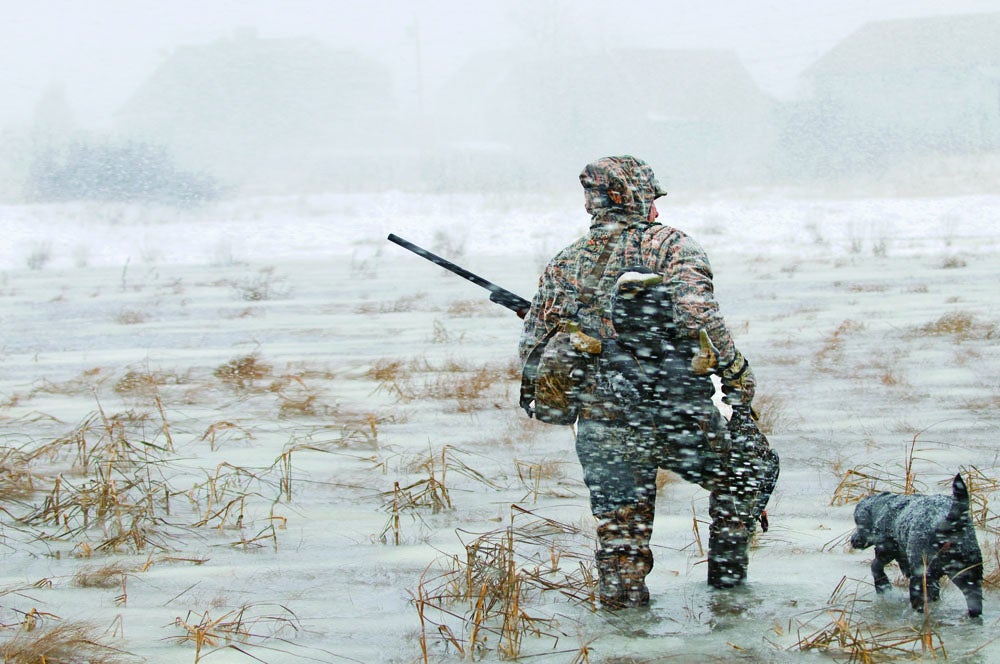 Forty-mile-per-hour winds blew spartina grass stalks and snow sideways during this January nor'easter as Hank Garvey and his Labrador retriever returned home from the salt marsh with their limit of one black duck. "There are a lot of fair-weather waterfowlers," Garvey says, "but the true duck hunters come out during a storm like this one. I don't remember how many inches of snow came down, but the wind was just honking." He adds that he is blessed to live only hundreds of yards from prime waterfowl habitat on a portion of the largest salt marsh in New England. "In that kind of weather, ducks are more active than you'd think, and they'll land by a decoy if they see one."<br />
Garvey hunts over his own hand-carved cedar decoys and has competed at every major decoy competition in the country, earning the title of World Class Carver. "Nothing beats hunting over my own birds, because there is so much tradition in it for me," he says. "I started carving decoys with my grandfather on fishing trips, and now I'm teaching my own son." --K.B.<br />
<strong>Location:</strong> Plum Island, Massachusetts<br />
<strong>Issue:</strong> December 2012/January 2013 <br />
<em>Photo by Bill Buckley</em>