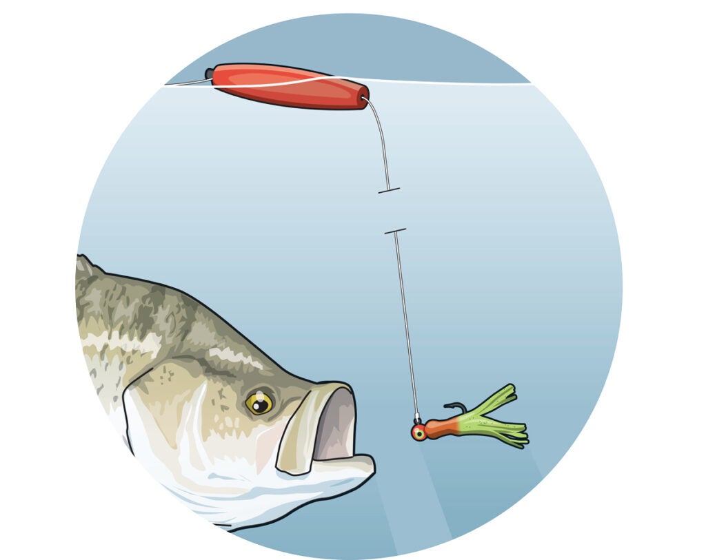 An illustration of a fish going for a lure. 