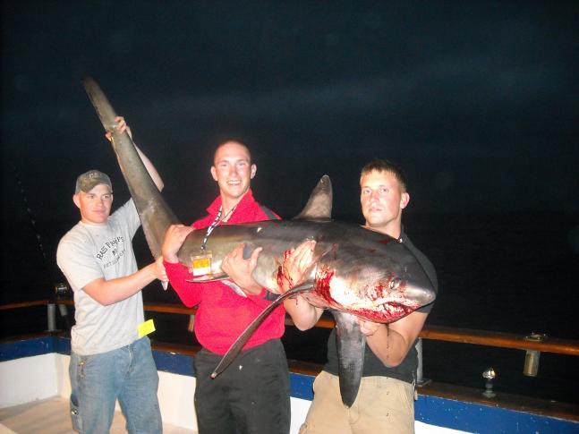 Three Marines on weekend liberty with Helgren's shark charters out of Oceanside, California. The fish was actually caught by pfc Matt Sewell after a short battle using mackeral. He took the steaks back to base and fed his entire batallion.