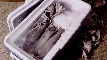 Keep Your Fish Cooler Cold with Dry Ice