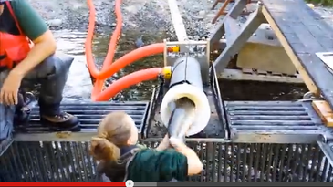 Video: Whooshh Fish Transport System, A.K.A. The Salmon Vacuum