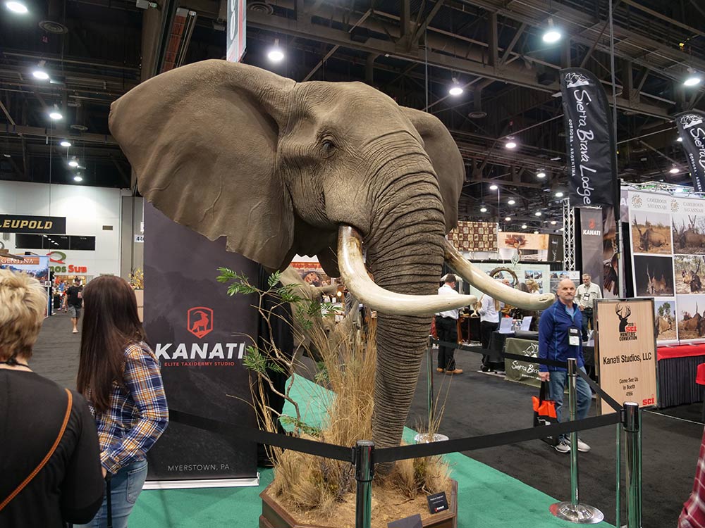 sci convention elephant replica taxidermy