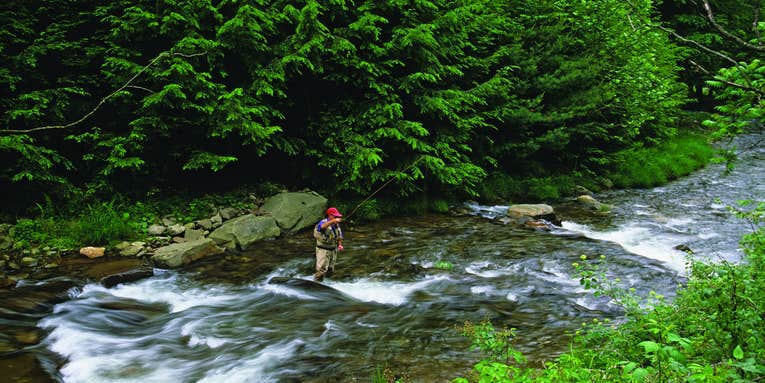 Natural Gas Drilling Threatens Trout in Pennsylvania (and Other Appalachian States)