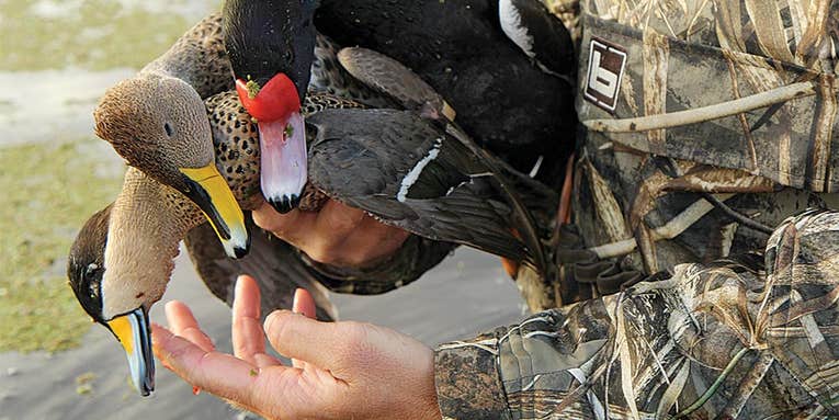 4 Lessons Learned From a Waterfowl Hunt in Argentina