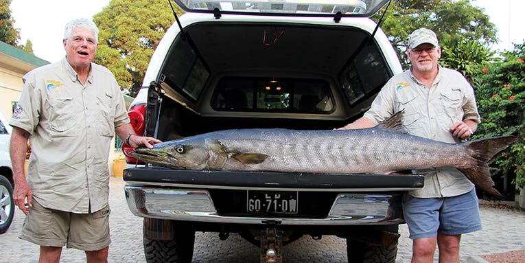 Big Fish Alert: World Record, 102-Pound Barracuda Caught in Angola
