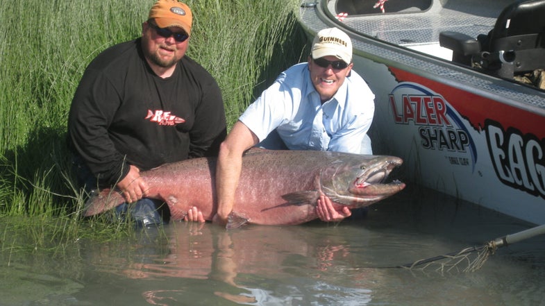 On July 17, Kansas angler Joe Atchison reeled in what may be a world-record king salmon. Though we'll never know for sure because this brute was released back into Alaska's Kenai River to fight another day. Atchison was guided to the beast by veteran salmon hunter <a href="http://www.kenaireeladventures.com">John Whitlatch</a>_,_ who estimates that the fish weighed between 85 and 92 pounds. That weight is based on a measurement of one of the more slender parts of the salmon's girth (it was kicking too much to get it around the thickest part), so 91 pounds is a bare minimum.  Whitlatch claims this was a very fresh fish, about seven miles up the river from the salt and still heading higher to spawn, so by not killing it, there is no telling how much giant genetic material was left in the river. The world-record king weighed 97 pounds and was also taken in the Kenai back in 1985. Visit out Field Notes blog for more coverage, and keep clicking to see more shots of this monster salmon.__