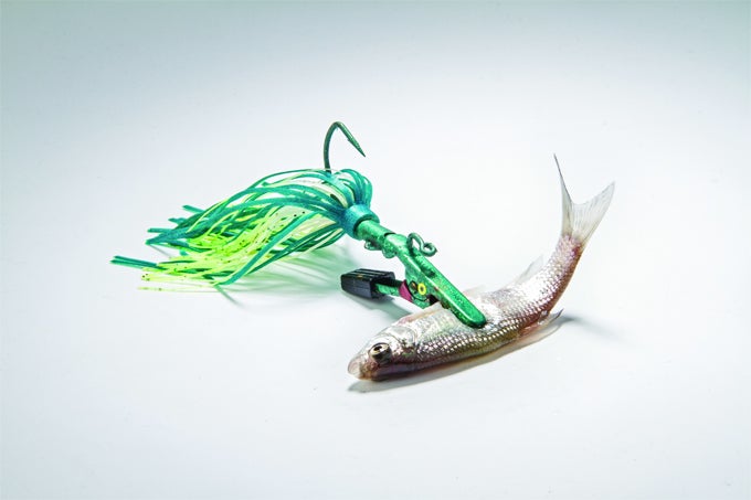 Package Deal: The Story Behind One Reader's Secret Bass Bait