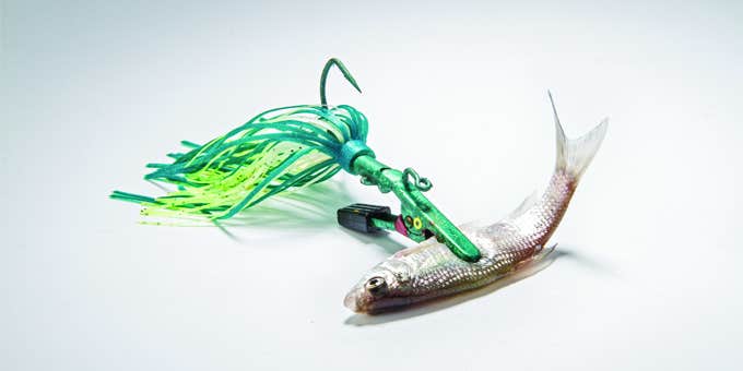 Package Deal: The Story Behind One Reader’s Secret Bass Bait